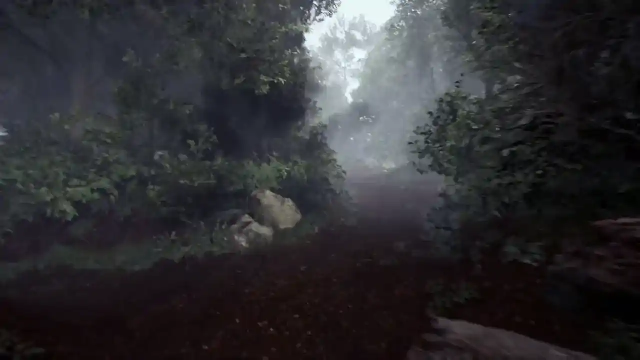 TheLostWoods / 迷いの森
