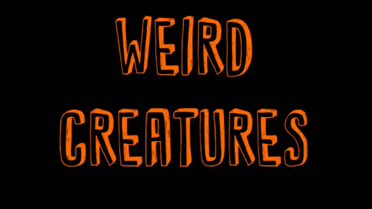 Weird creatures