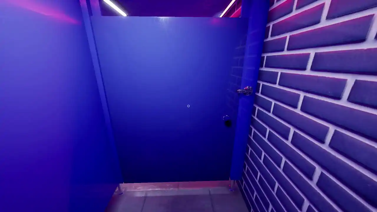 Toilet Chronicles