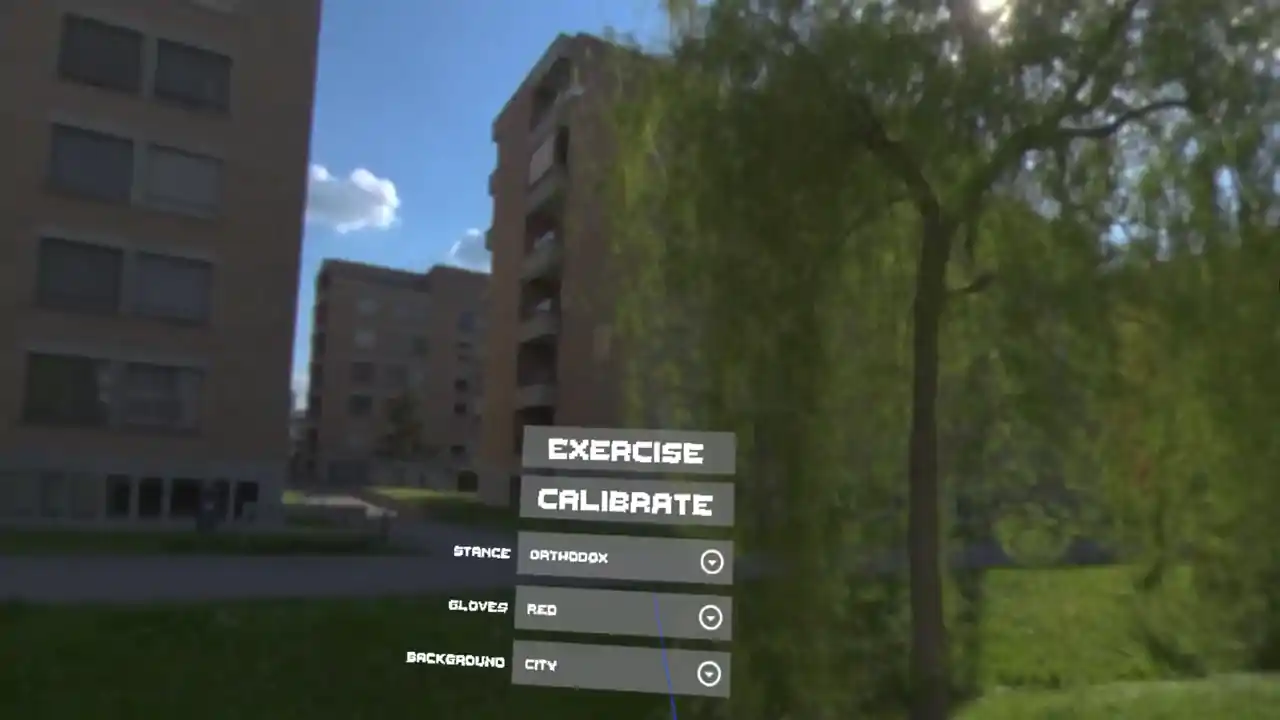 Simple Boxing Drills VR