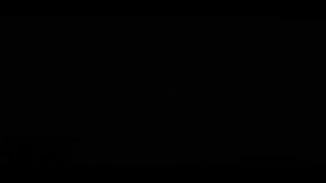 我的小柯基