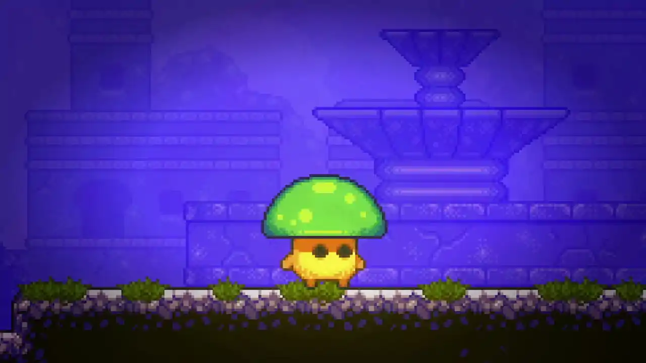 Lone Fungus