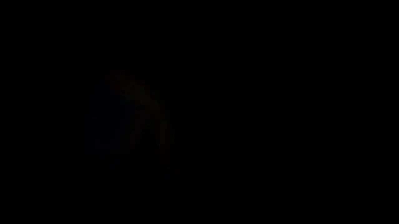 Shadows of Wyrmwood