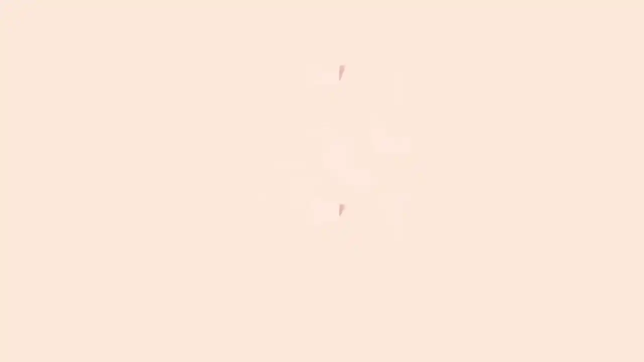 Dissembler