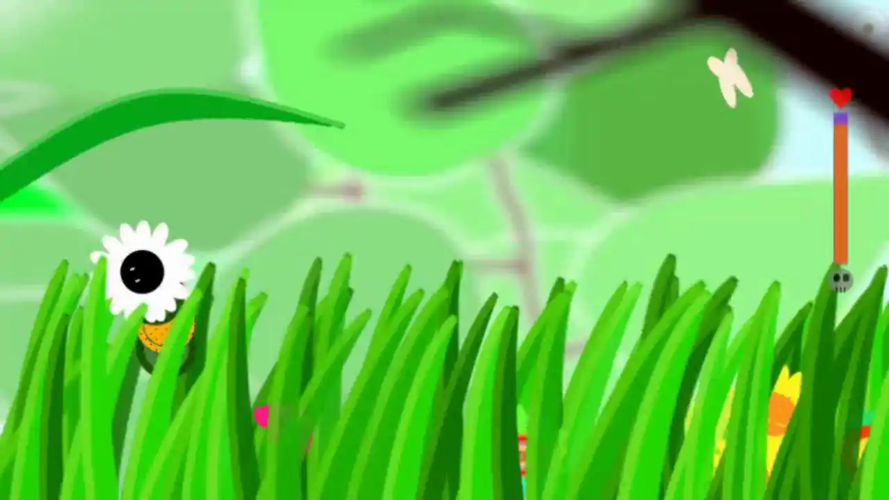 Plants