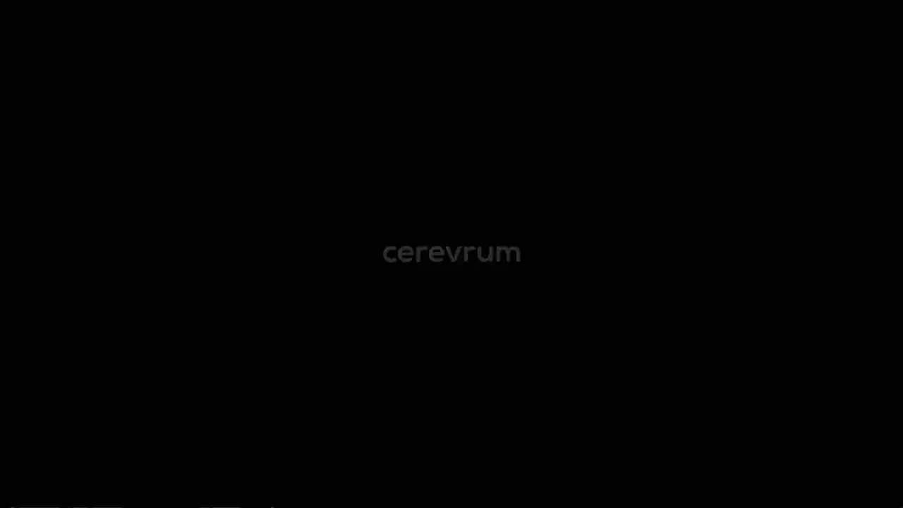 Brain-training Game – Cerevrum