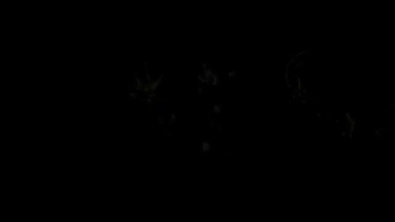 Alight: Lunar Survival