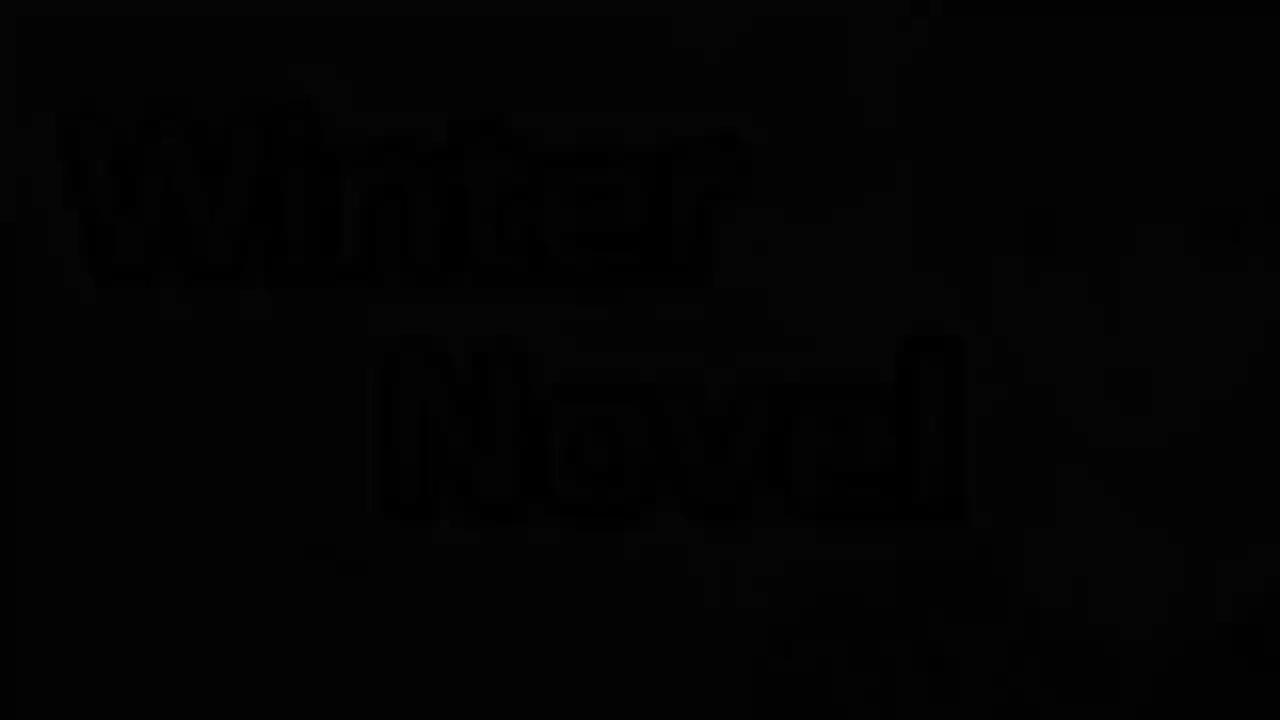 Winter Novel