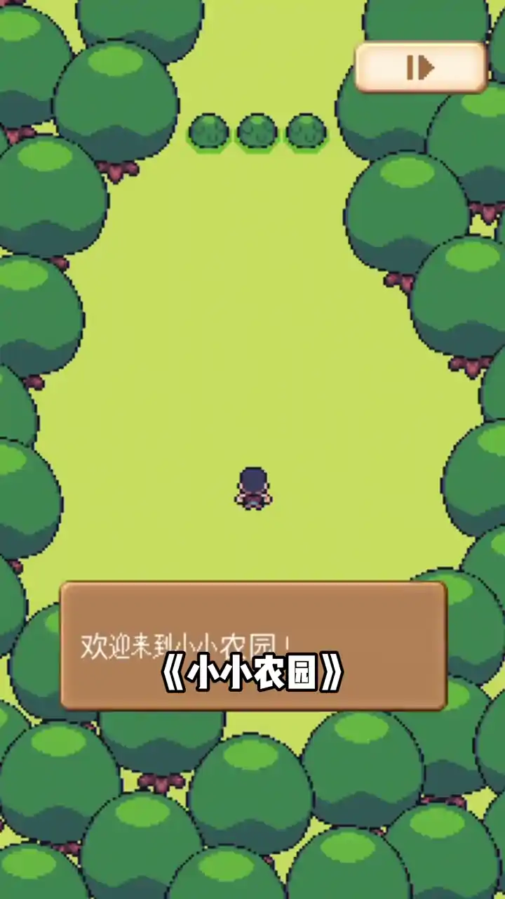 小小农园