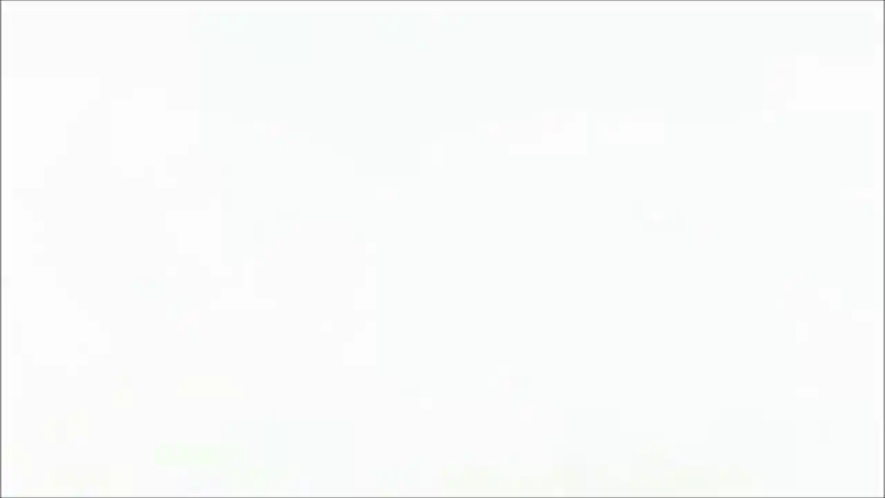 A Bird Story