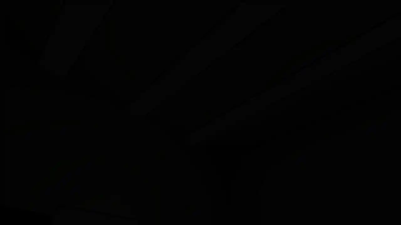 Bouncing Duck Simulator