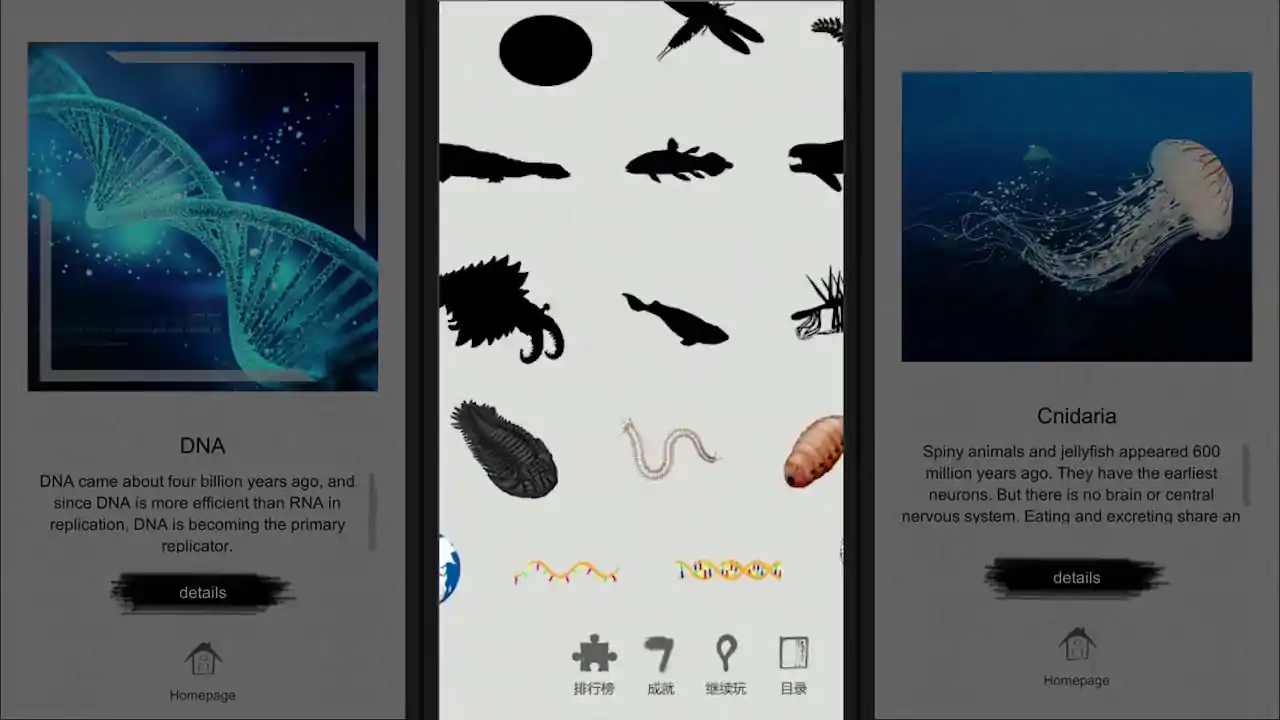 Jigsaw puzzle - Evolution