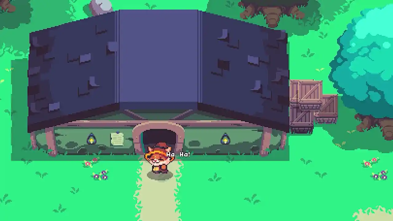 Tiny Witch