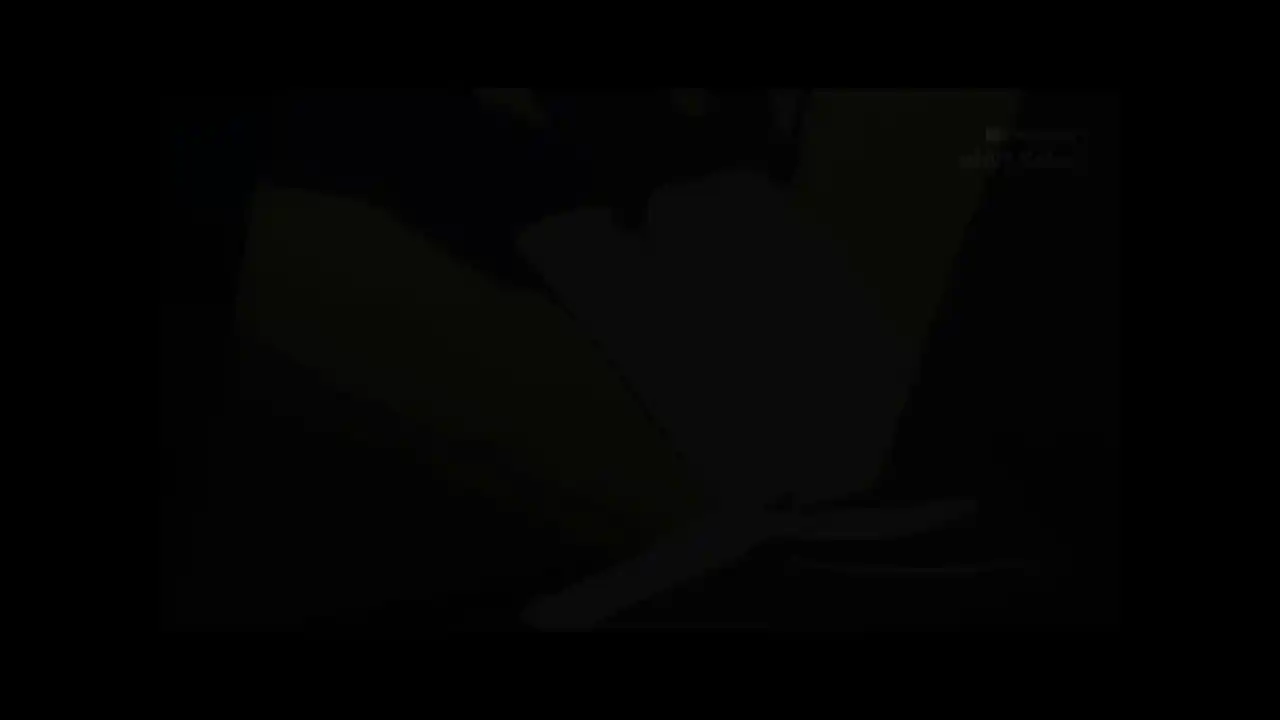 悠久之翼-前篇