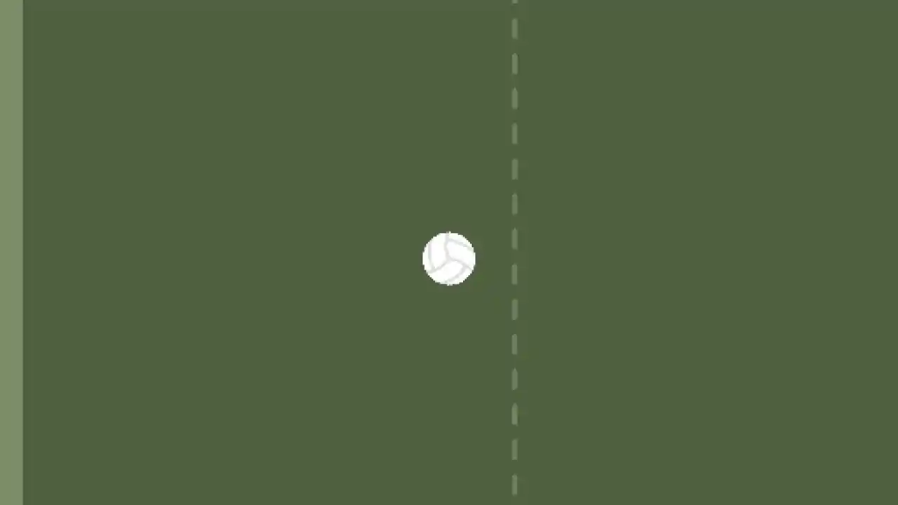 Fish Volleyball