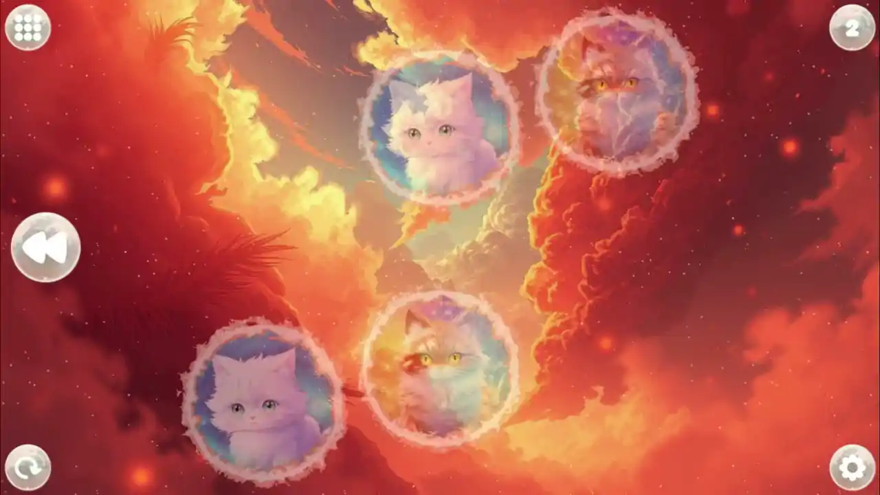 Anime Dream Match: Cats