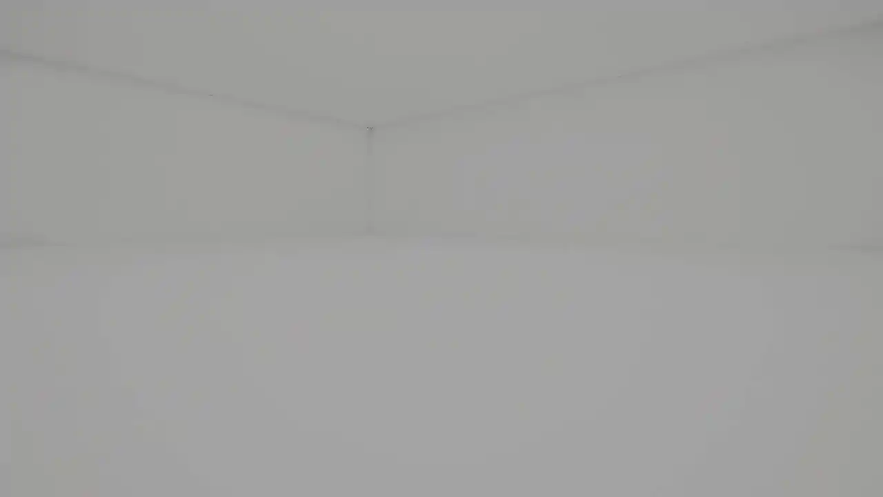 Solitary