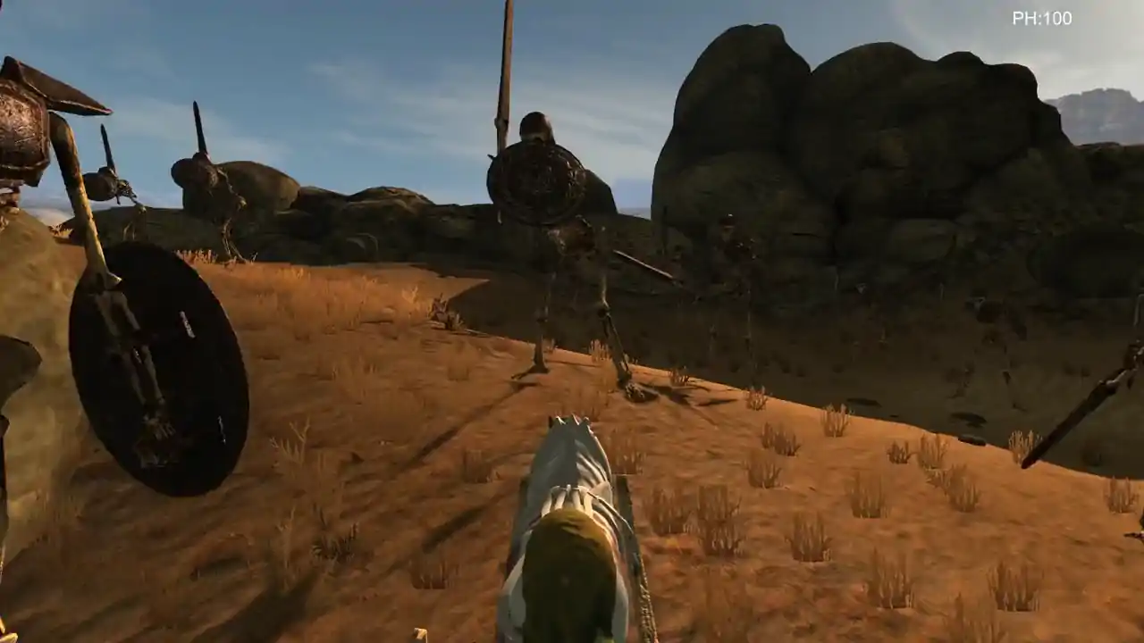 Desert coachman
