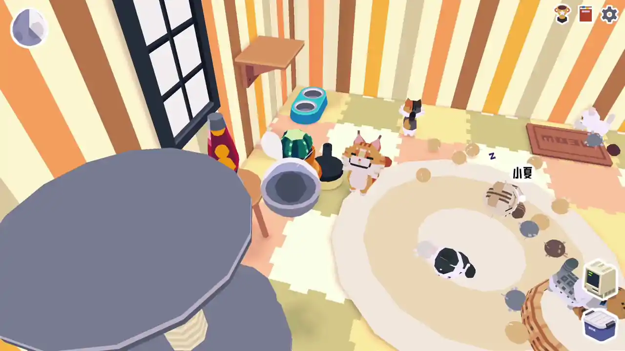 CatCat