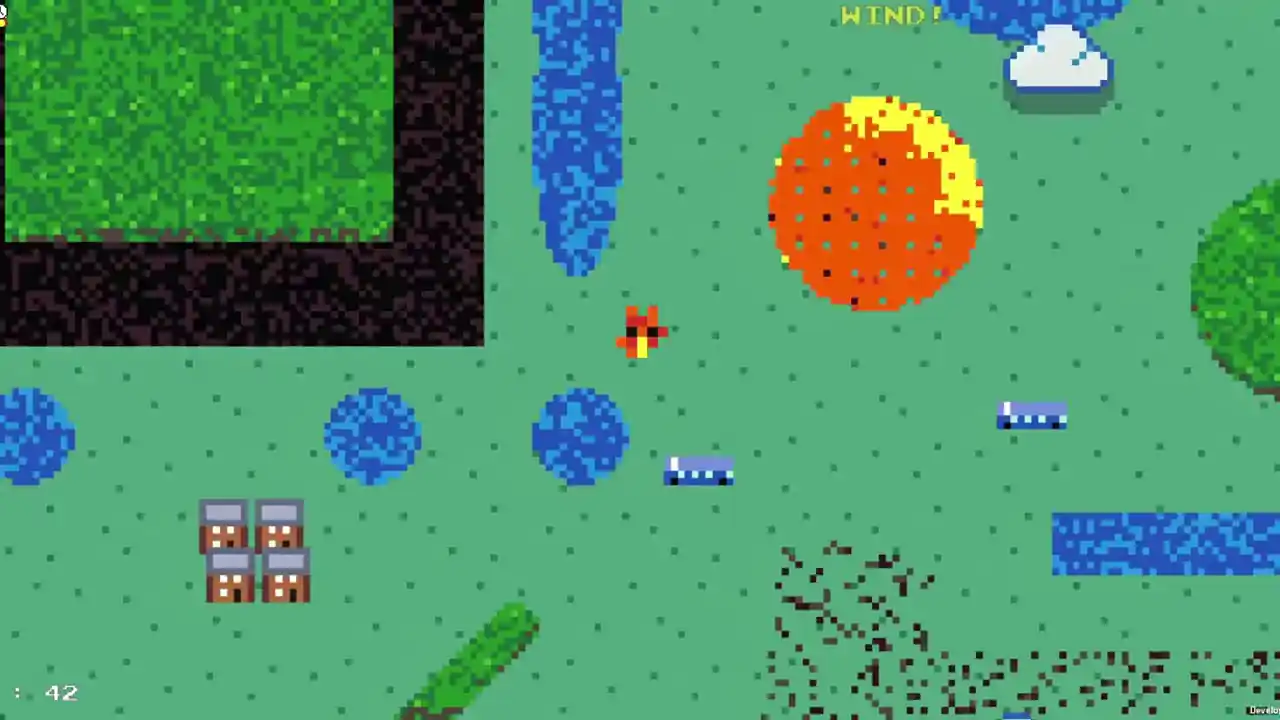 Forest Fire
