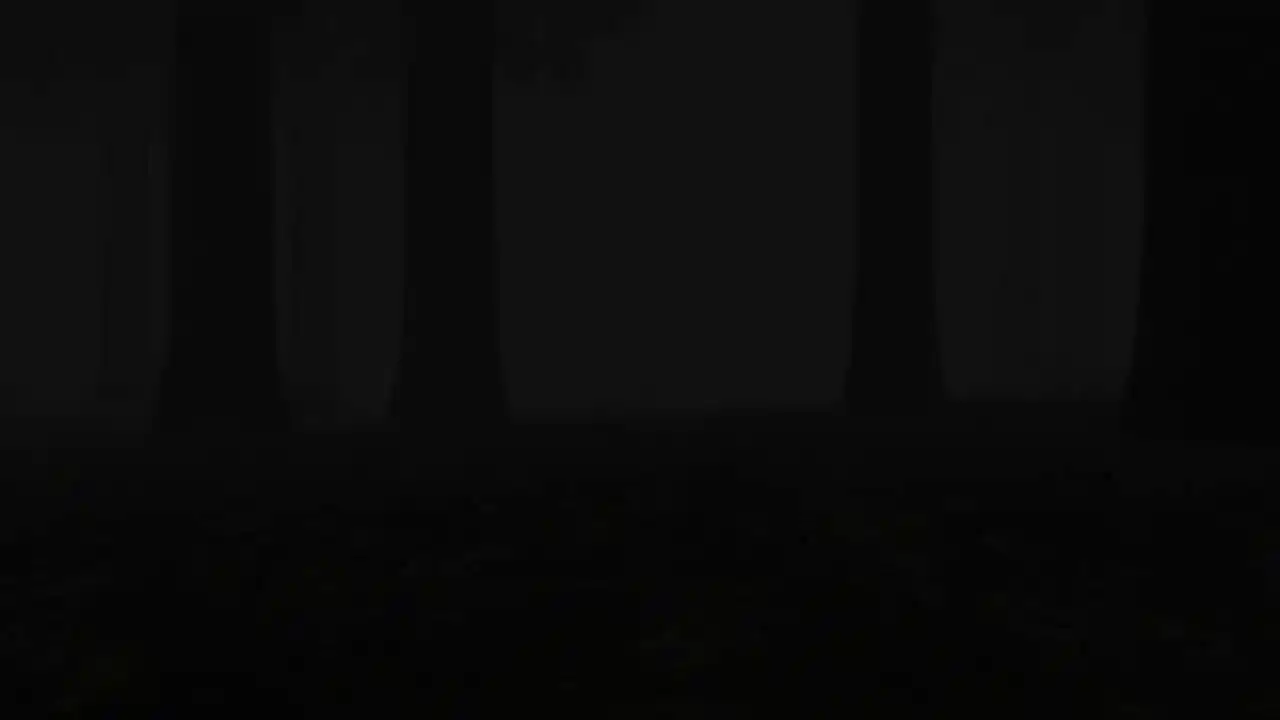 Trapped in the Forest