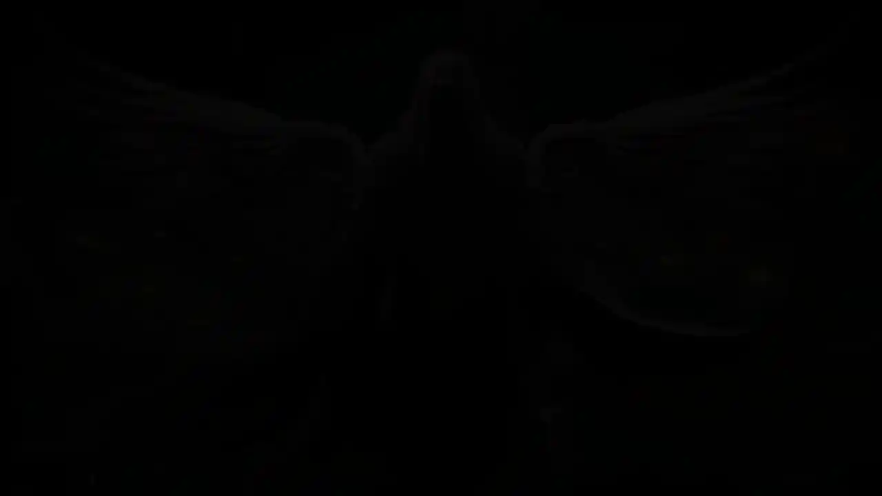 Wings of Redemption