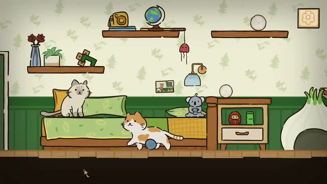 猫在家里