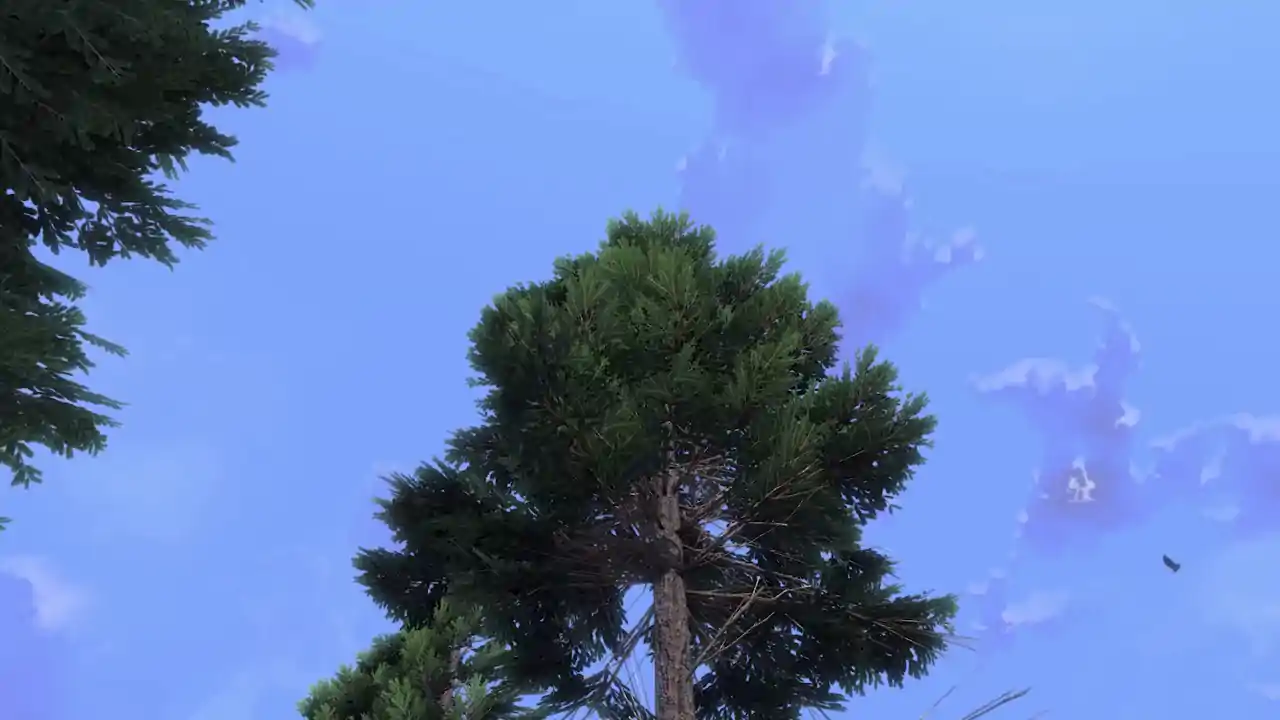 伐木工王朝