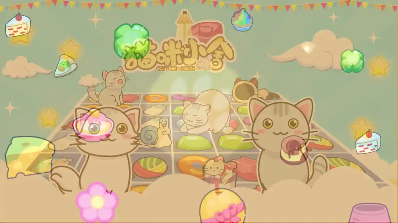 猫咪小舍