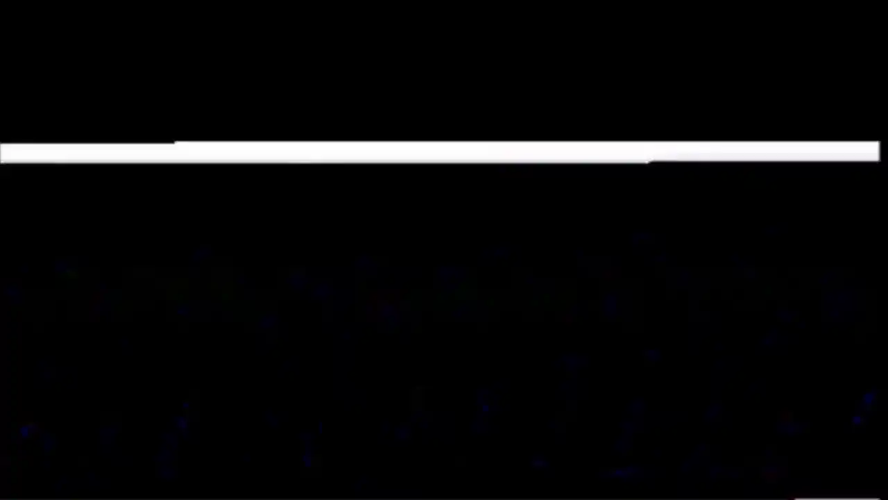 致命公司
