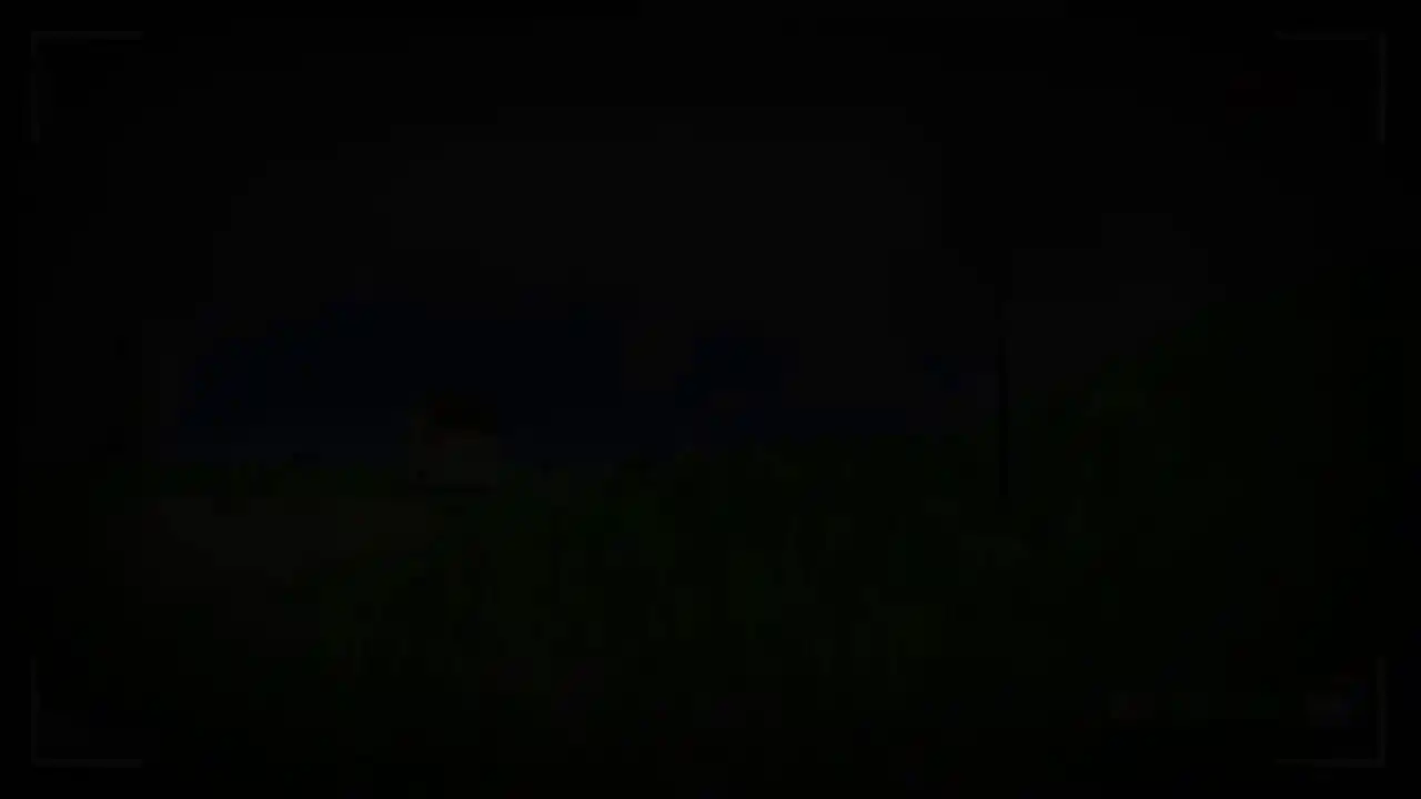 逃离后室: 94