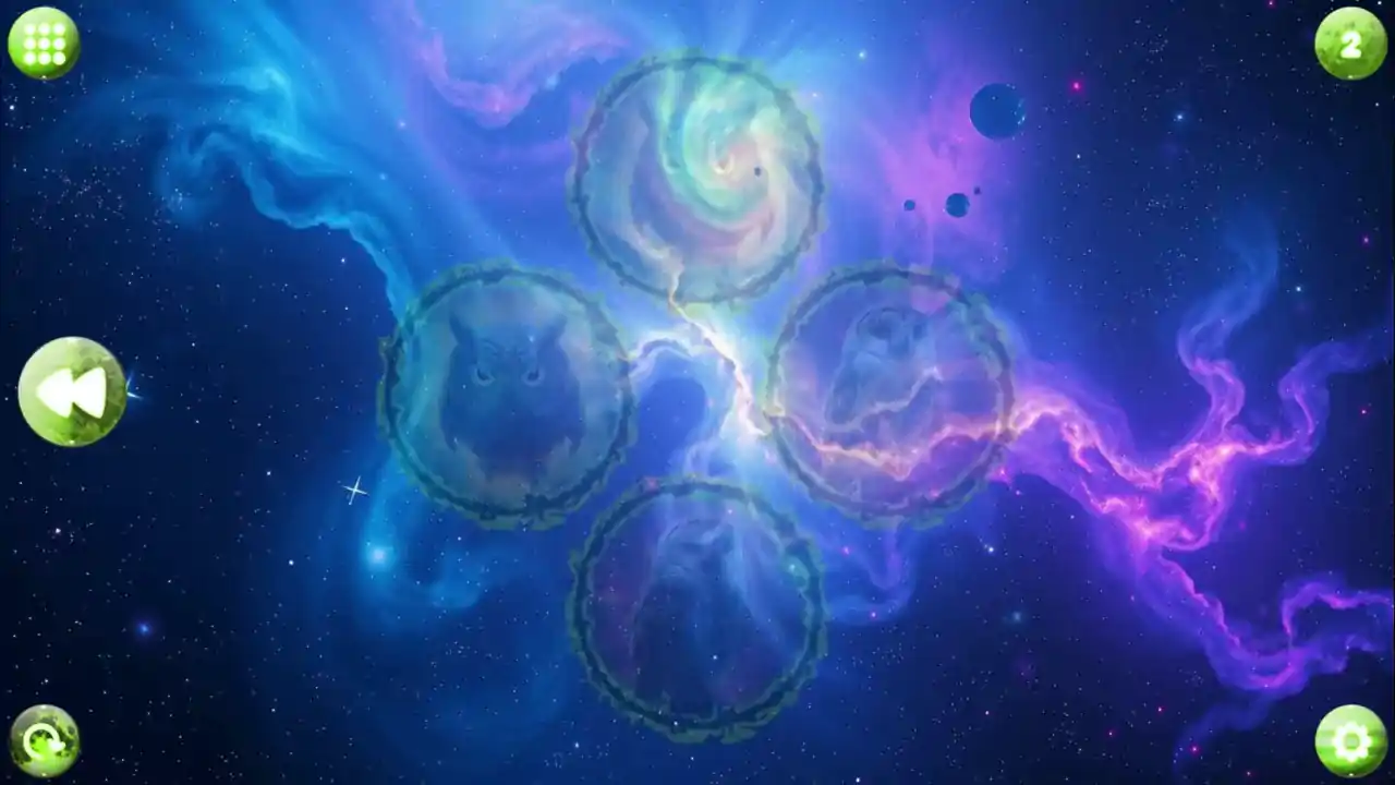 Space Memory: Owls