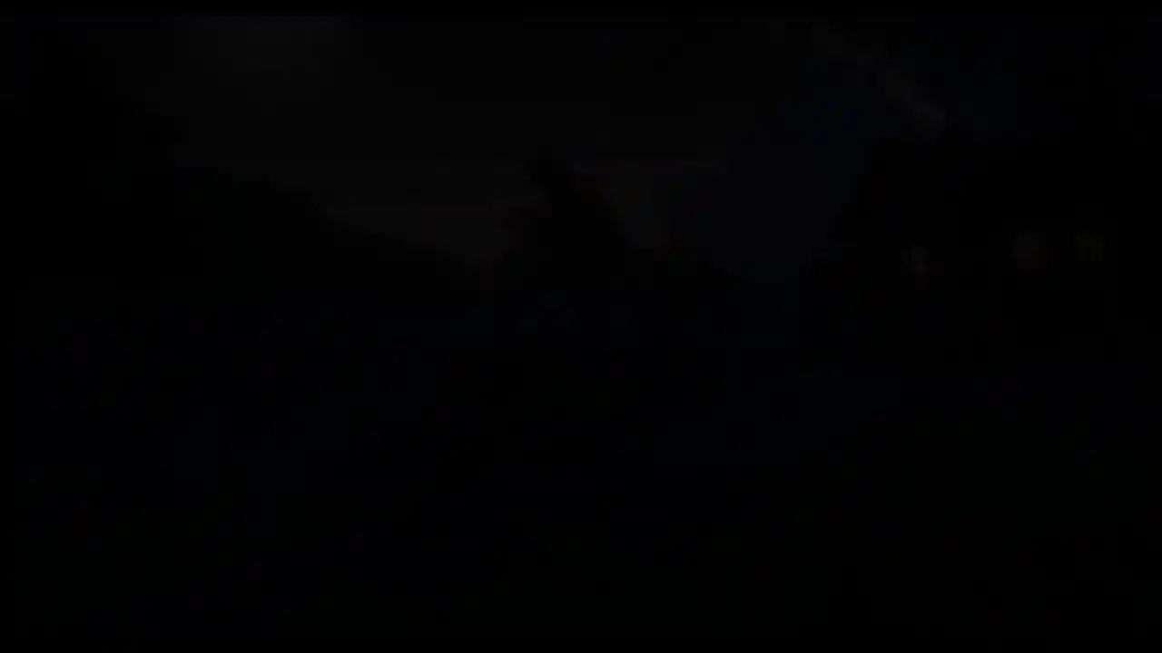 黑书