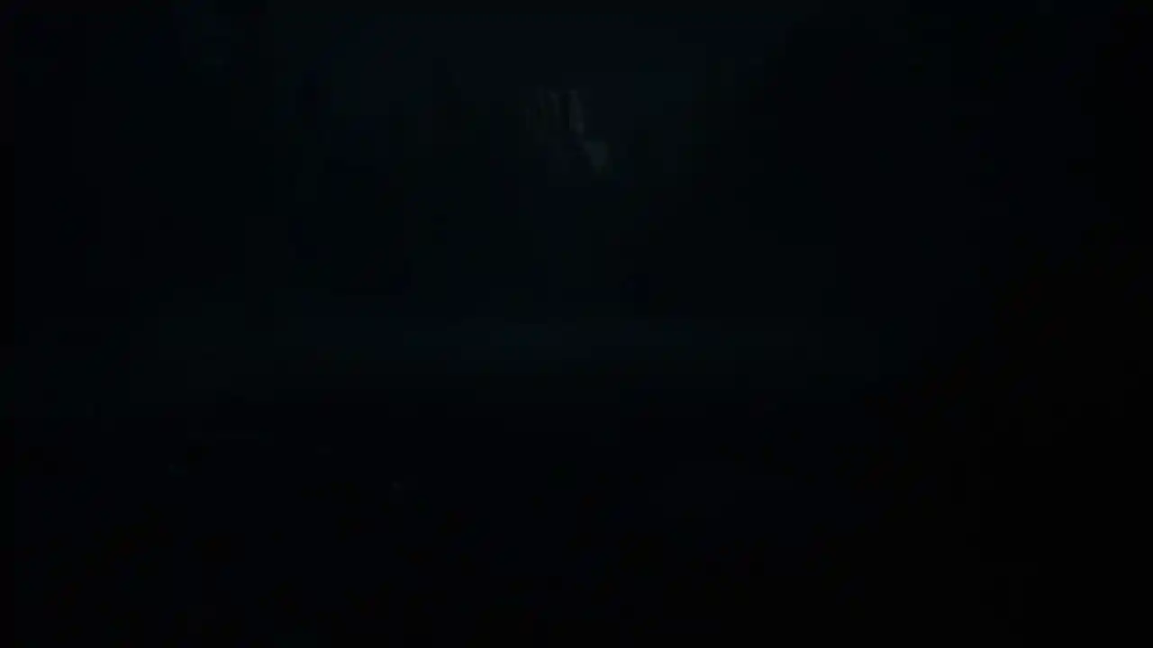 Level 11.11