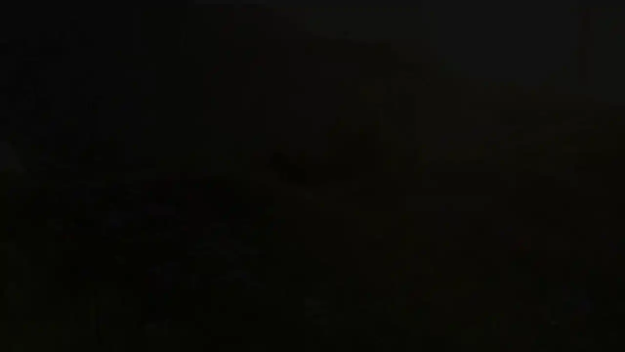 荒野(Wilderless)