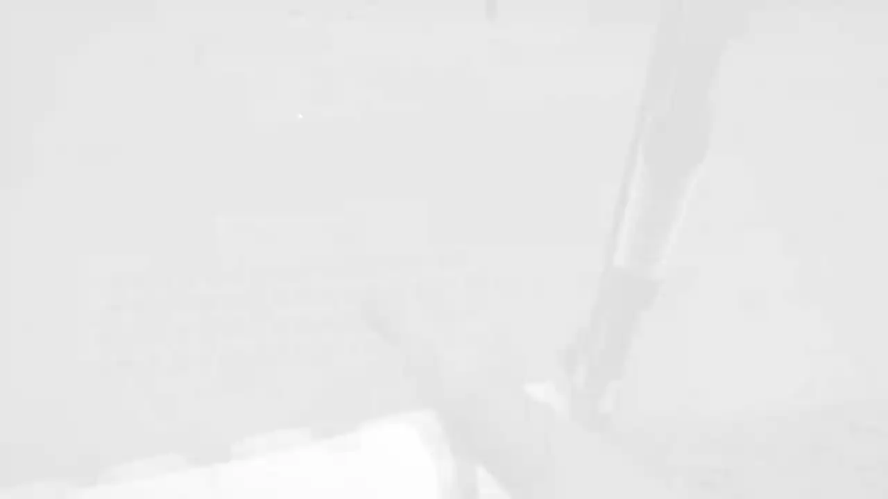 Project VR Wild Hunt