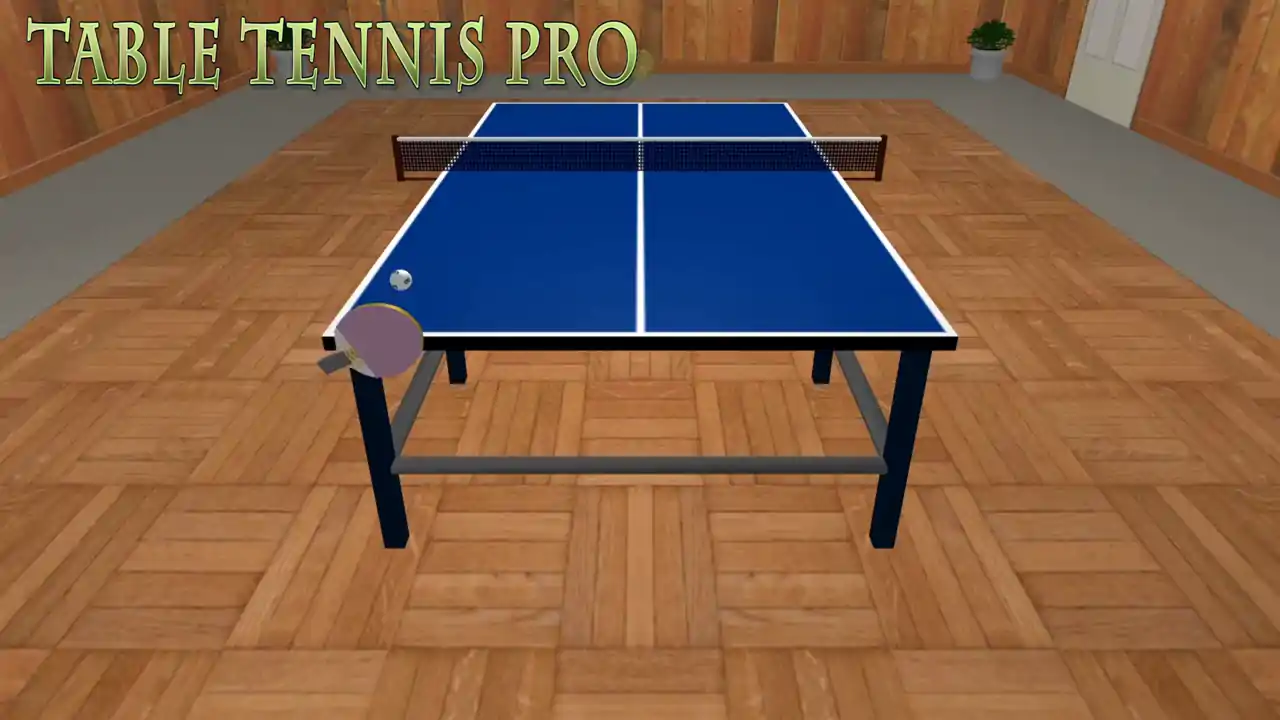 Table Tennis Pro