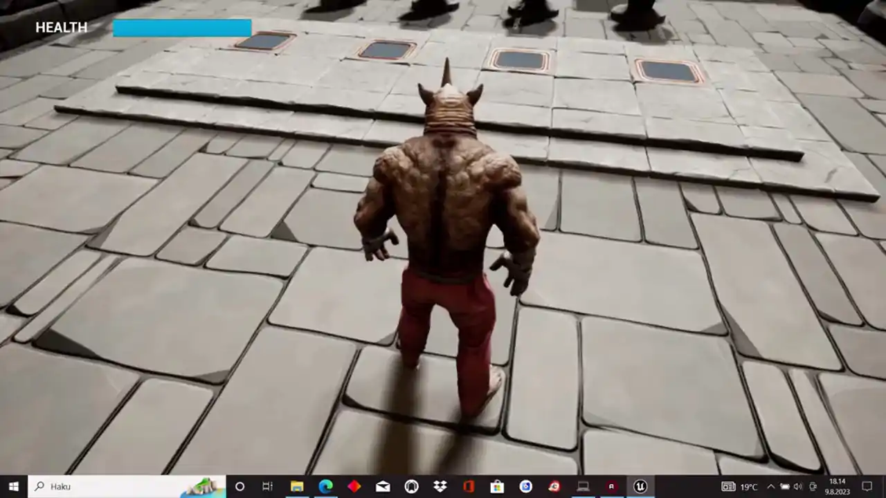 Rhino Puzzle