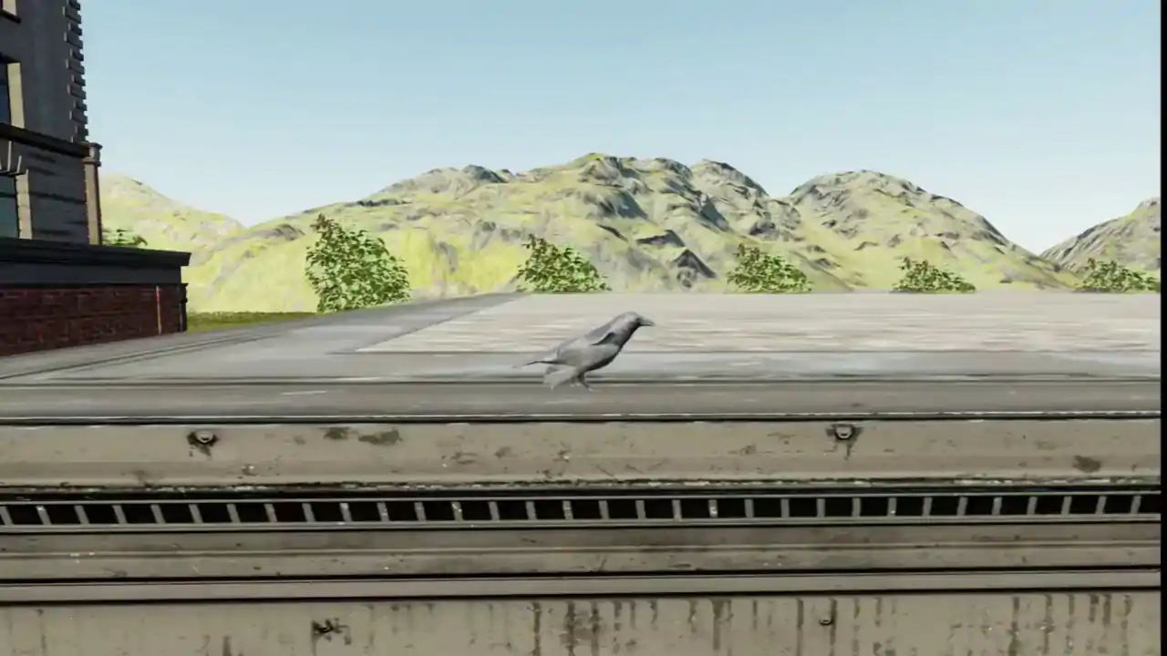 Raven Simulator