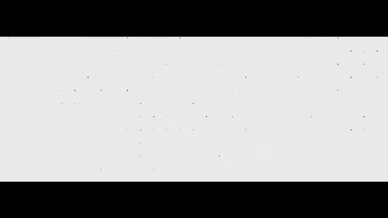 Race Project