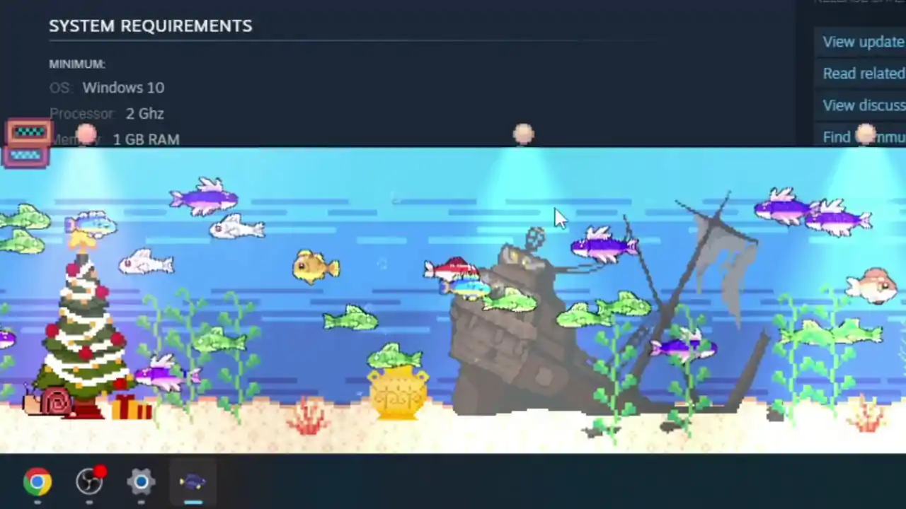 我的水族馆