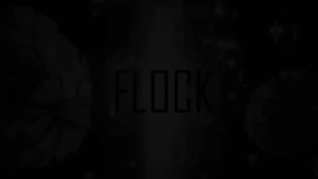 Flock VR