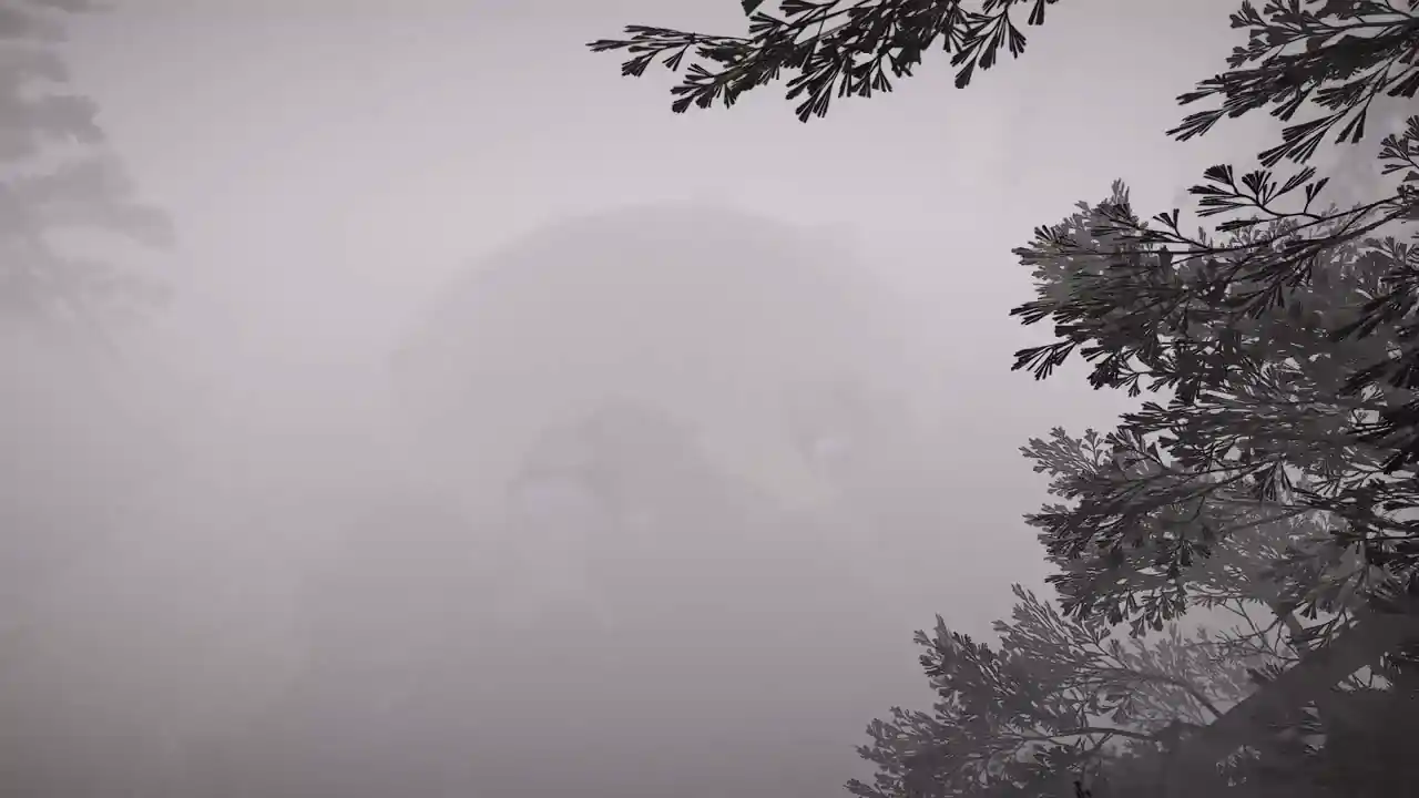鬼畜天线宝宝0（预约）