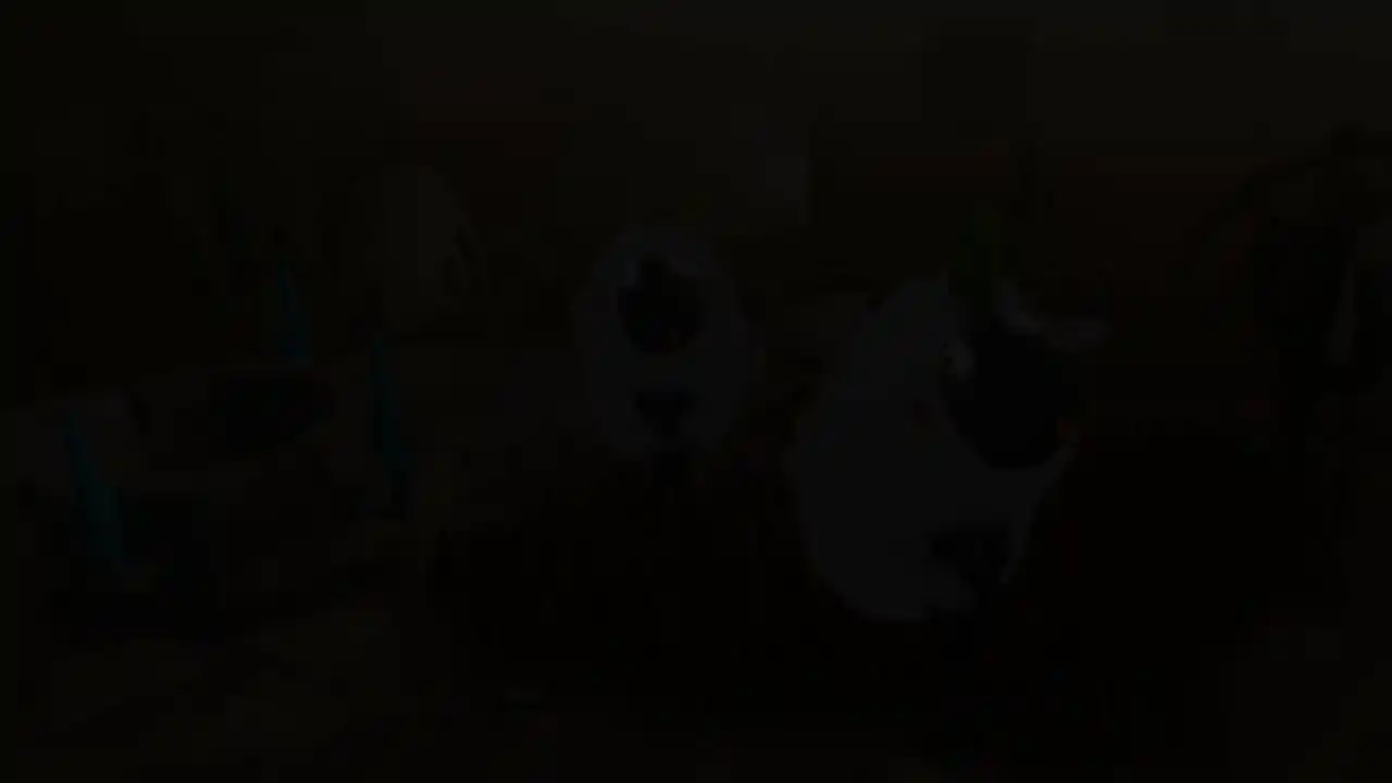 Sheep Sweep