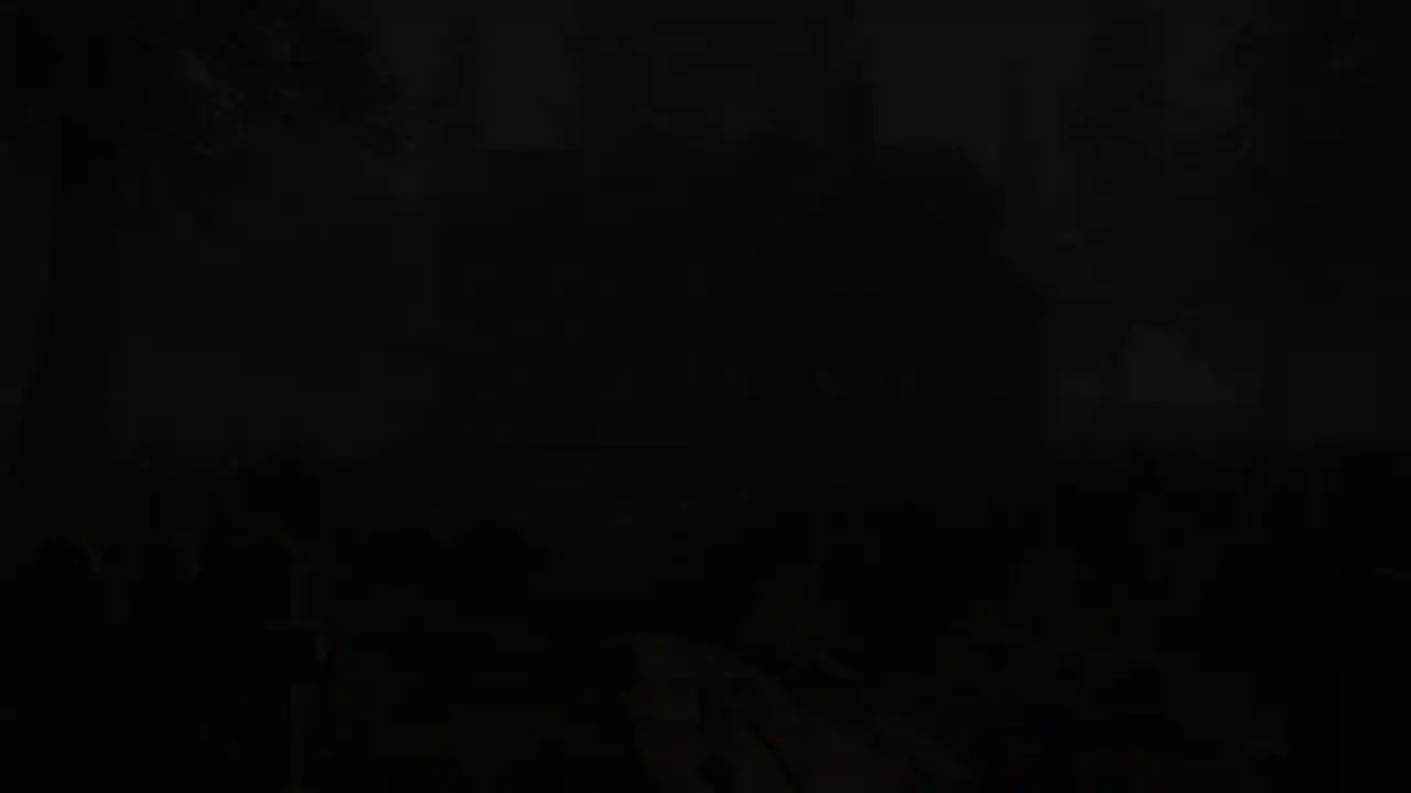 Silent Nights