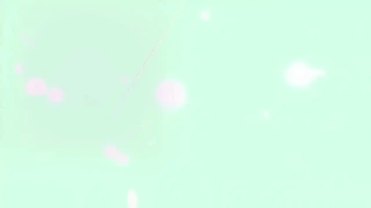 爱丽娅的明日盛典! Flowering Sky