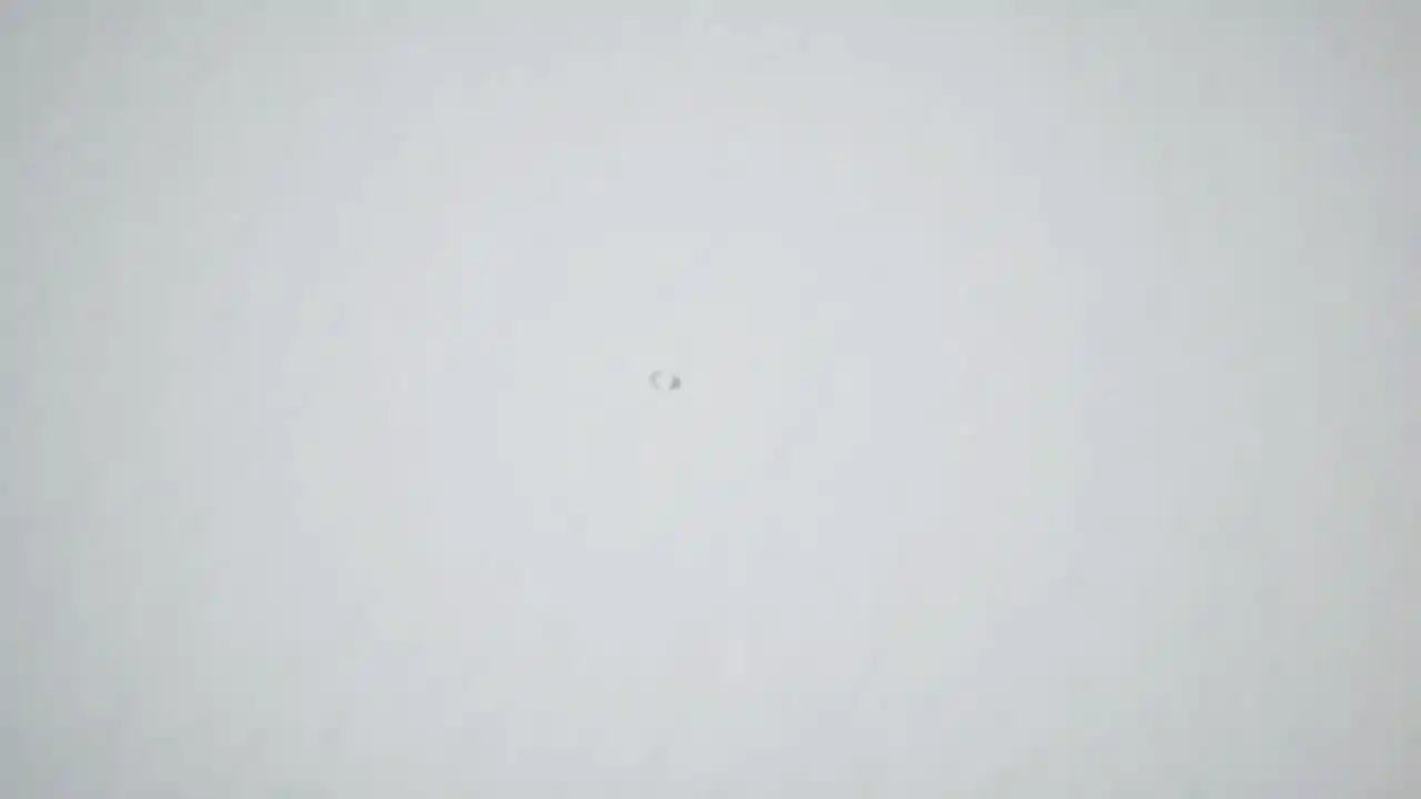 Snowman Builder