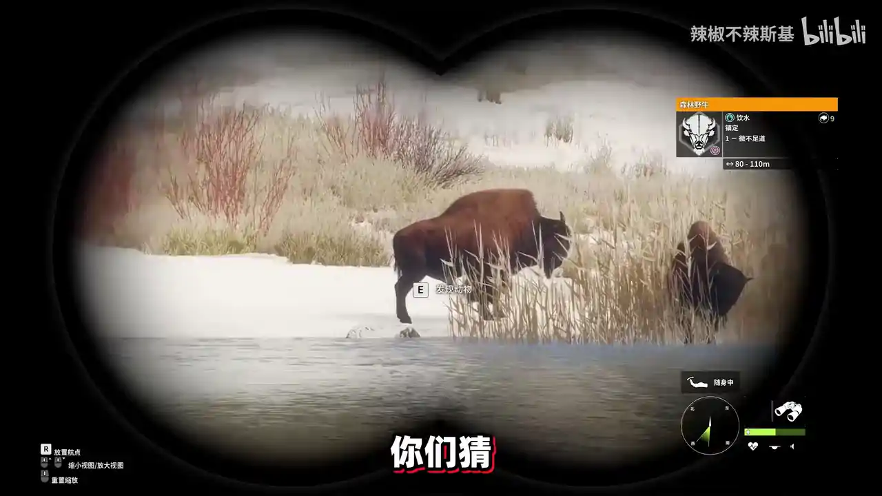 荒野的召唤(闪迹云游戏)