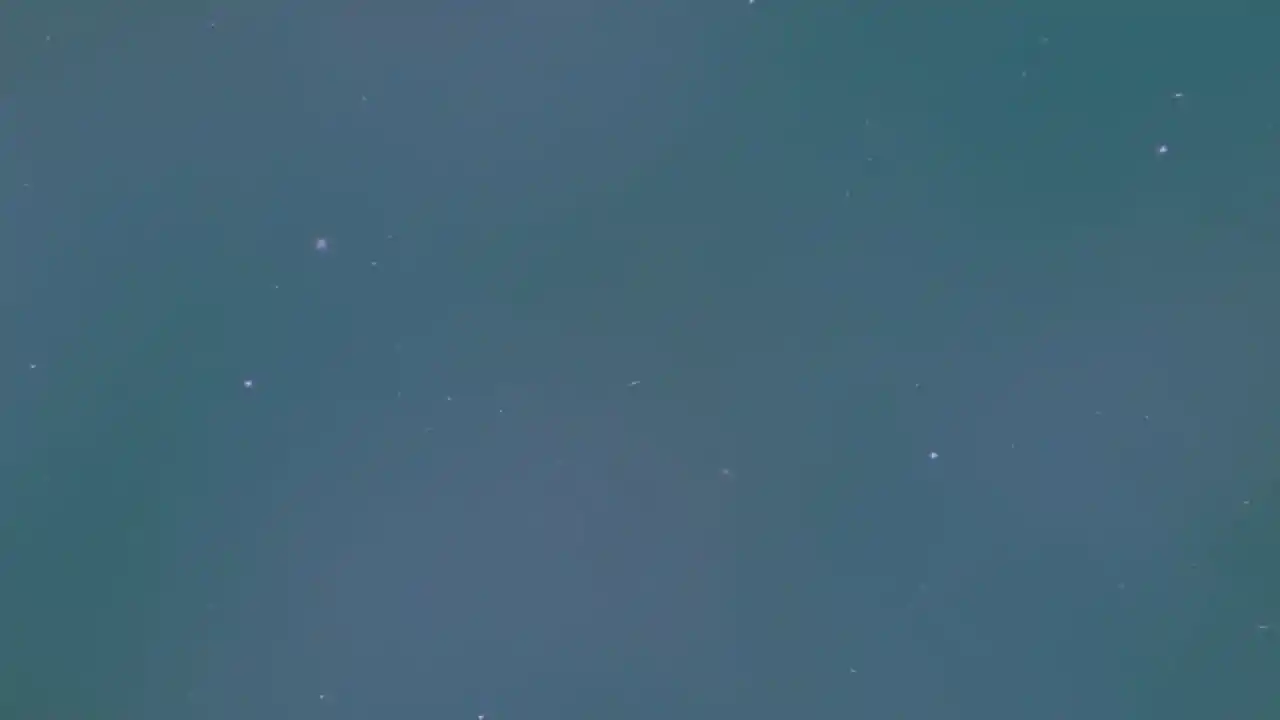 QuiVr Vanguard