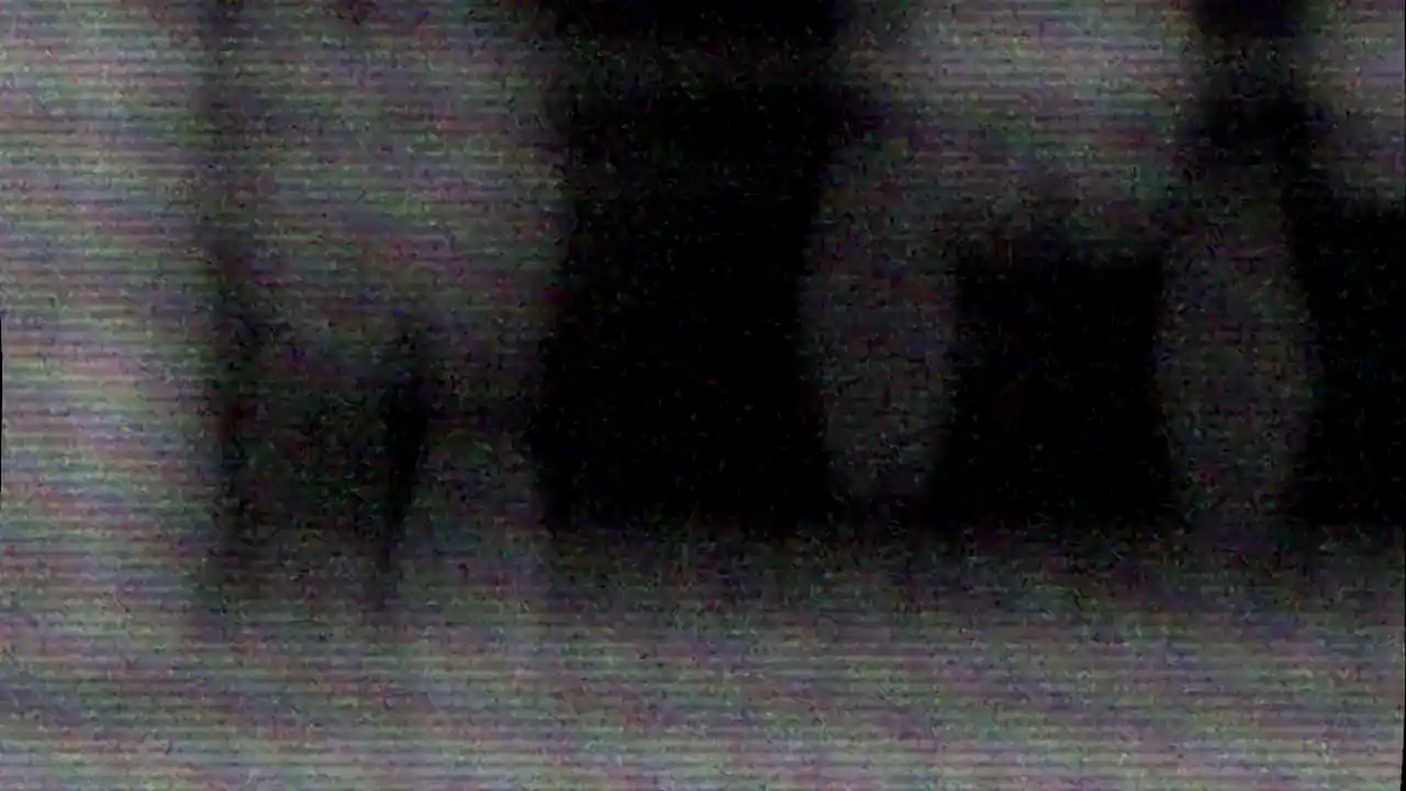 Ghosts from the House of Flesh